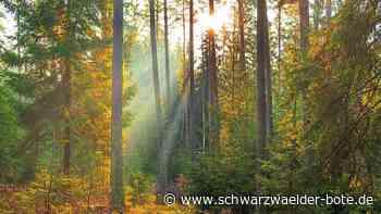 Nächste Runde im Forst-Streit: BUND uneins: Regionalgeschäftsführer widerspricht Althengstetter Ortsgruppe
