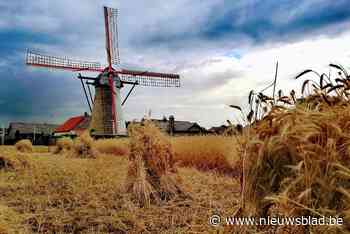 Ovenburen haalt eerste 15.000 euro via crowfunding binnen