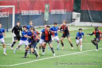 Genoa Under 17: Sarpa, Casagrande e Lipani convocati in Nazionale - Buon Calcio a Tutti