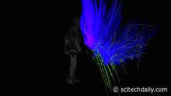 Six Foot COVID-19 Rule Is “Arbitrary” – Social Distancing Is Not Effective Mitigation on Its Own