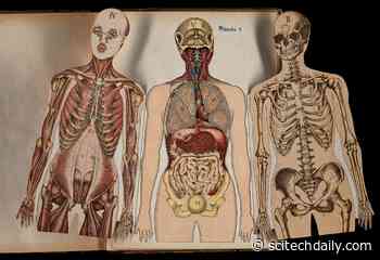 Long COVID: Western Medicine Has Reached a Crisis Point