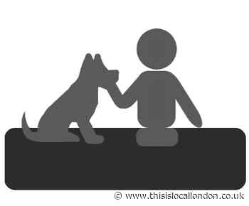 Dogs and humans share a close bond.