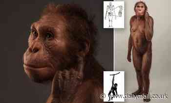 Ancient human relative that lived in South Africa 2 million years ago climbed like an ape