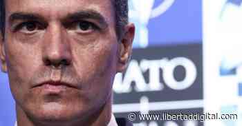 El perro de Pedro Sánchez - Libertad Digital