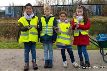 Jeugd plant vijfduizend krokussen voor meer kleur, meer bije... (Retie) - Gazet van Antwerpen