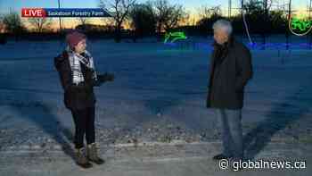 BHP Enchanted Forest lighting up Saskatoon