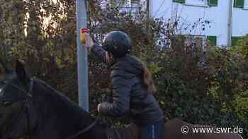 Ulm-Wiblingen: Fast perfekte Ampel für Reiterinnen und Reiter - SWR