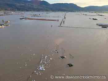BC floods: How much will everything cost? - Dawson Creek Mirror