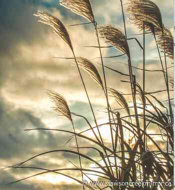 Strong winds expected for area - Dawson Creek Mirror