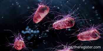 Genetically modified E coli bacteria produce ink for 3D printing programmable objects