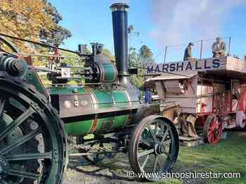 E.coli-hit Acton Scott working farm must be saved, says trust - shropshirestar.com