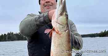 Scott Budzinski earns Fish of the Week honors with a big muskie, one of two caught and released while jigging… - Chicago Sun-Times