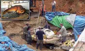 Skeleton of juvenile duck-billed dinosaur is found in Missouri at undisclosed location