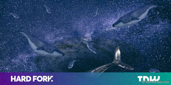 How Einstein, Elon, and Uncle Sam could ruin cryptocurrency by 2050