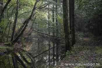 Voormalig Vlaams bouwmeester Leo Van Broeck: “Bouwen in de Aa-vallei is niet verantwoord”