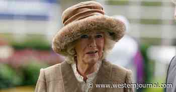Royal Pain: Prince Charles Wants Camilla to Be Queen Despite His Son's Protests, Subjects' Disapproval - Report