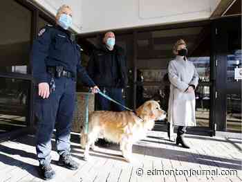 Animal cruelty investigation unit formed by Edmonton city police, first in Canada