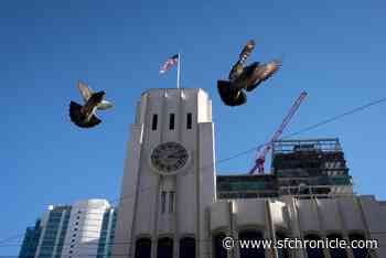 California organizations awarded grants by the Hearst Foundations - San Francisco Chronicle