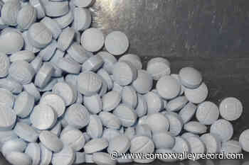 UBC researchers’ algorithm helps ID designer drugs before they hit market - Comox Valley Record