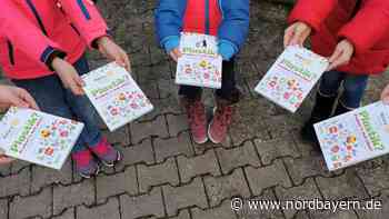 "Versuch's mal ohne Plastik": Grundschüler lernen mit Rotary - Nordbayern.de
