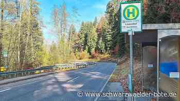 Lärm am Bad Wildbader Lautenhof: Oft bleibt nur die Flucht in eine Ferienwohnung