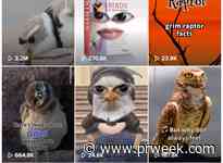 ‘They are seeing a different side of us’: TikTok helps Audubon Society reach younger audience