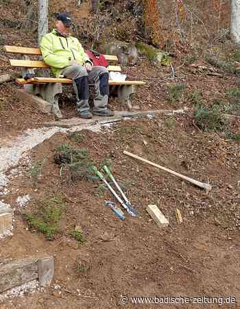 Wege nach Schneebruch freigeräumt - Steinen - Badische Zeitung