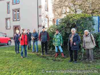 Steinen - 500 Blumenzwiebeln gesetzt - www.verlagshaus-jaumann.de