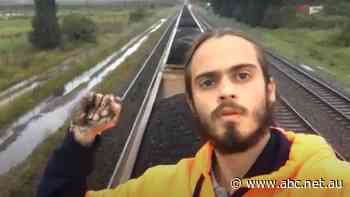 Climate activist's jail time considered 'too harsh' by some, backed by others