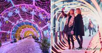 10 Calgary holiday light shows & displays you can explore this winter season - Curiocity