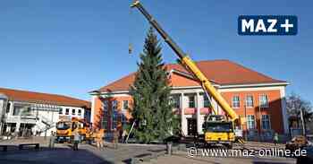 Rathenow: Weihnachtsbaum vor dem Kulturzentrum aufgestellt - Märkische Allgemeine Zeitung