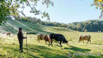 Andechser Molkerei Scheitz: Einkaufen und Essen mit Genuss und gutem Gewissen - Merkur Online