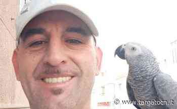 Il MoVimento5Stelle Cuneo porta il recupero della salma di Andrea Costa in consiglio comunale - TargatoCn.it