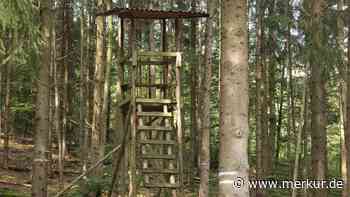Memminger Stadtrat mehrheitlich für „Wald vor Wild“-Beschluss - Merkur Online