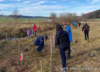 Ehrmann schließt Baumpflanzprojekt erfolgreich ab - Memmingen / Unterallgäu - B4B Schwaben
