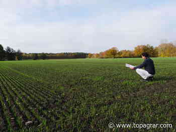 Rechtsanwalt erklärt das 1 x 1 des Grundbuchs | top agrar online - top agrar online
