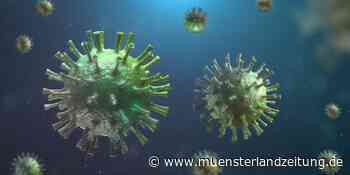 Corona-Liveblog: 202 (!) Neuinfektionen – viele in Ahaus und Stadtlohn - Münsterland Zeitung