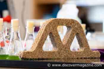 Bacterial Builders Are the Key to Concrete Alternatives