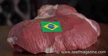 Tester introduces bill to halt Brazilian beef imports