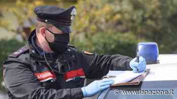 Morto a caccia: colpito da scheggia, Marco Tommasi era un operatore finanziario - La Nazione