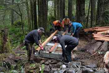 VIDEO: Cycle club volunteers work to improve Snowden Trail – Campbell River Mirror - Campbell River Mirror