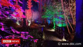 The Glow: Trail of lights created at RHS garden - BBC News