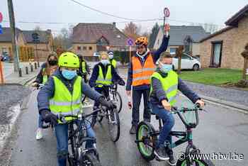 Meer ongevallen met fietsers: heropstart van verkeerslessen voor leerlingen in Bilzen - Het Belang van Limburg