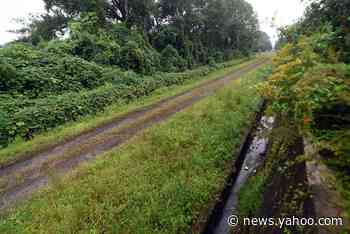 Wilmington's Northside to connect with downtown through trail after $680,000 in funding - Yahoo News