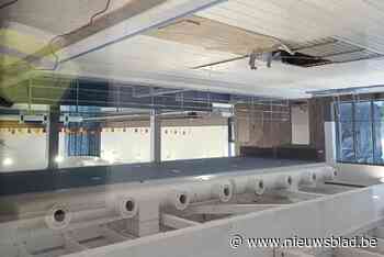 Zeg niet ‘intergemeentelijk zwembad’, maar Dok-3