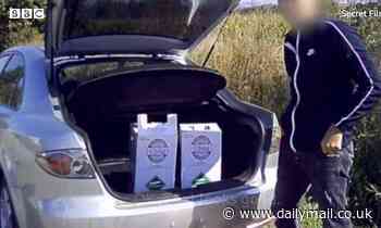 Black market: Greenhouse gases are being smuggled into the UK from Eastern Europe, report warns 