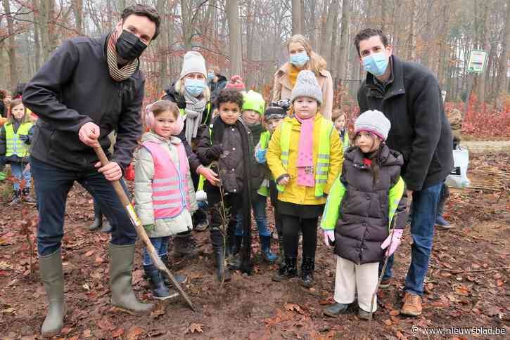 Na de ravage van vorig jaar: kinderen geven oud park Wijnegemhof verjongingskuur