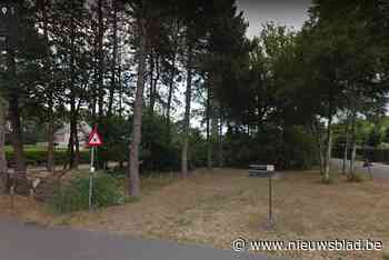 Aankoop geeft perceel Grootreesdijk openbaar statuut