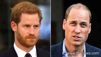 BBC documentary on Prince Harry, Prince William's alleged rift slammed by British royal family