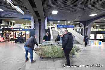 Kerstboom neemt nachttrein naar Brussel-Zuid